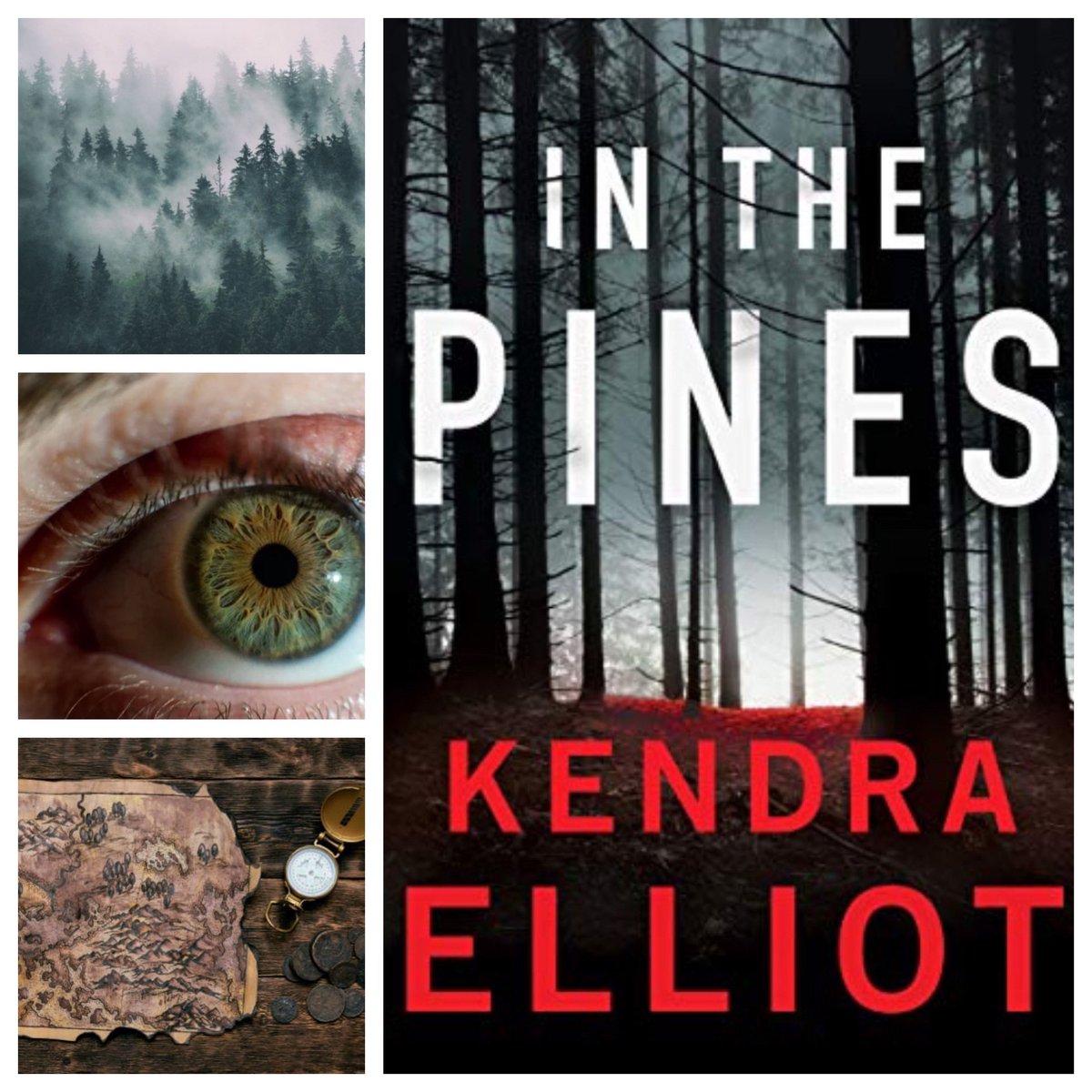 GreenEyedGarden's tweet photo. Treasure Hunt! Missing Toddler! Murder! ⭐️⭐️⭐️⭐️ for #KendraElliot ‘s latest #ColumbiaRiverSeries with Agent #MercyKilpatrick . Happy Publication Day — now available on #KindleUnlimited ! #NetGalley #Montlake #BookTwitter https://t.co/R2QLLHqMAc