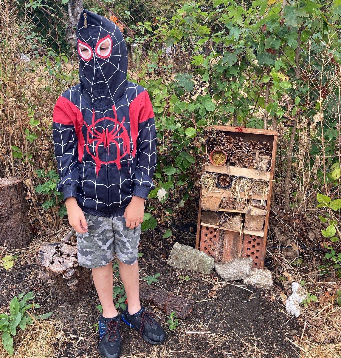 NewaddingtonBC's tweet photo. Make Lunch day and the first proper rain in weeks! We made a bug hotel for our garden, did some planting and painting and played games. Lasagne and THREE choices of pudding. Spider-Man was very happy with his hotel. #makelunch #tlgmakelunch #community #church https://t.co/mQ3ErJje54