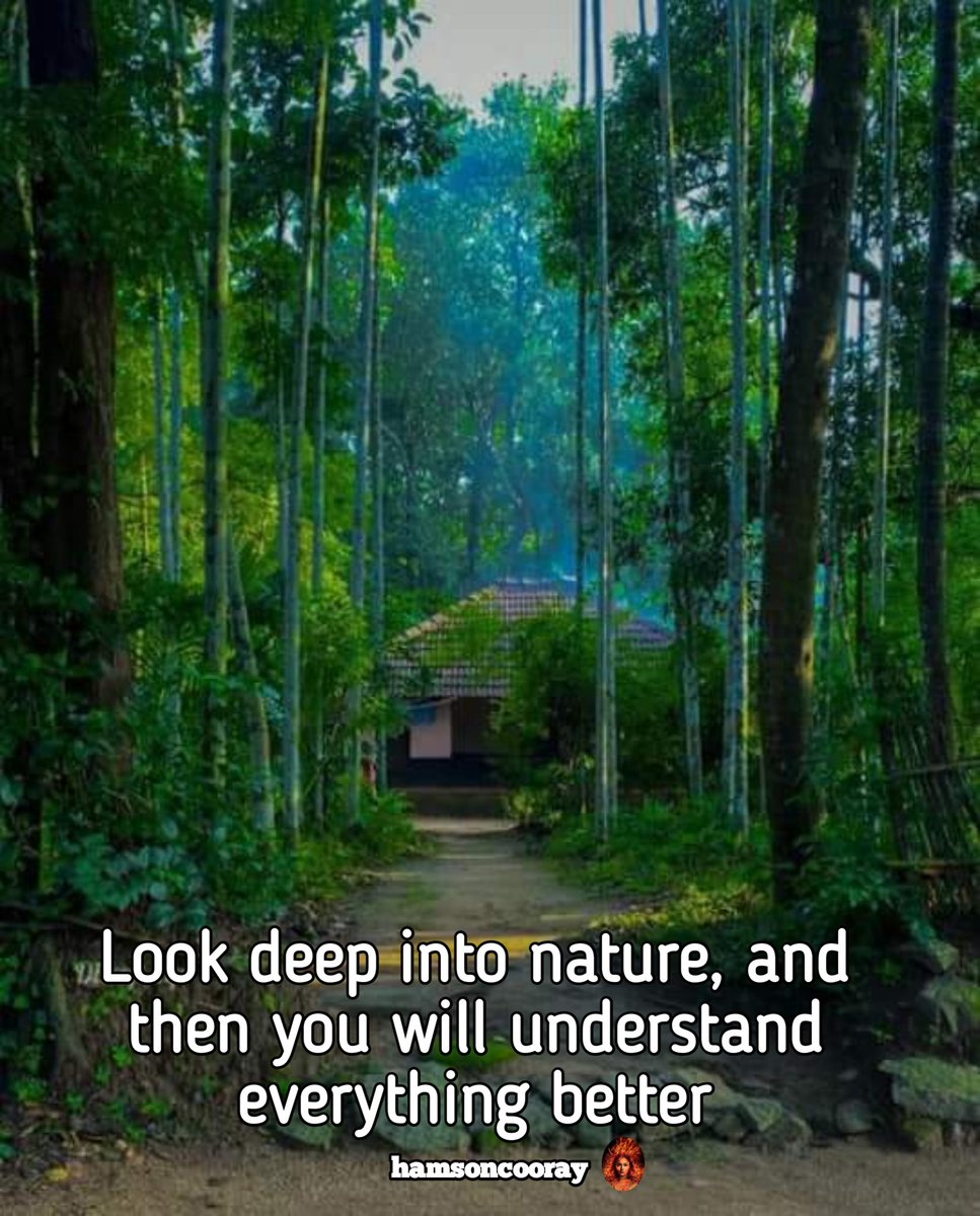 Hamsoncooray's tweet image. #Human are #intimately #tied to #our #naturalenvironment.#nature has always been a #source of #Inspiration and #beauty for us .it #shows us how to #Live in #earth .when we #open our #eyes to earth ,#nature become our #teacher.1st comment👇

#BetterCallSaul
#BetterCallSaulFinale #