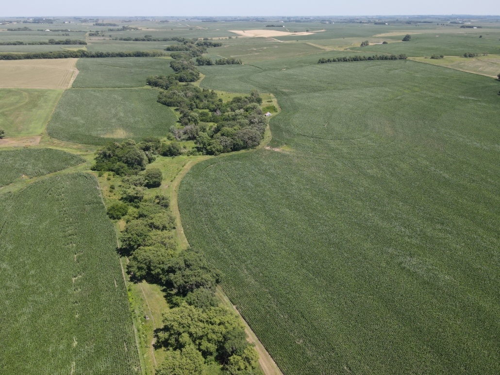 GAGE COUNTY, NEBRASKA, #UFARM ONLINE LAND AUCTION – AUGUST 24, 2022 - 197+/- ACRES Productive dryland farm and pasture near Pickerell, NE. Learn more at ufarm.com/gage-county-ne…