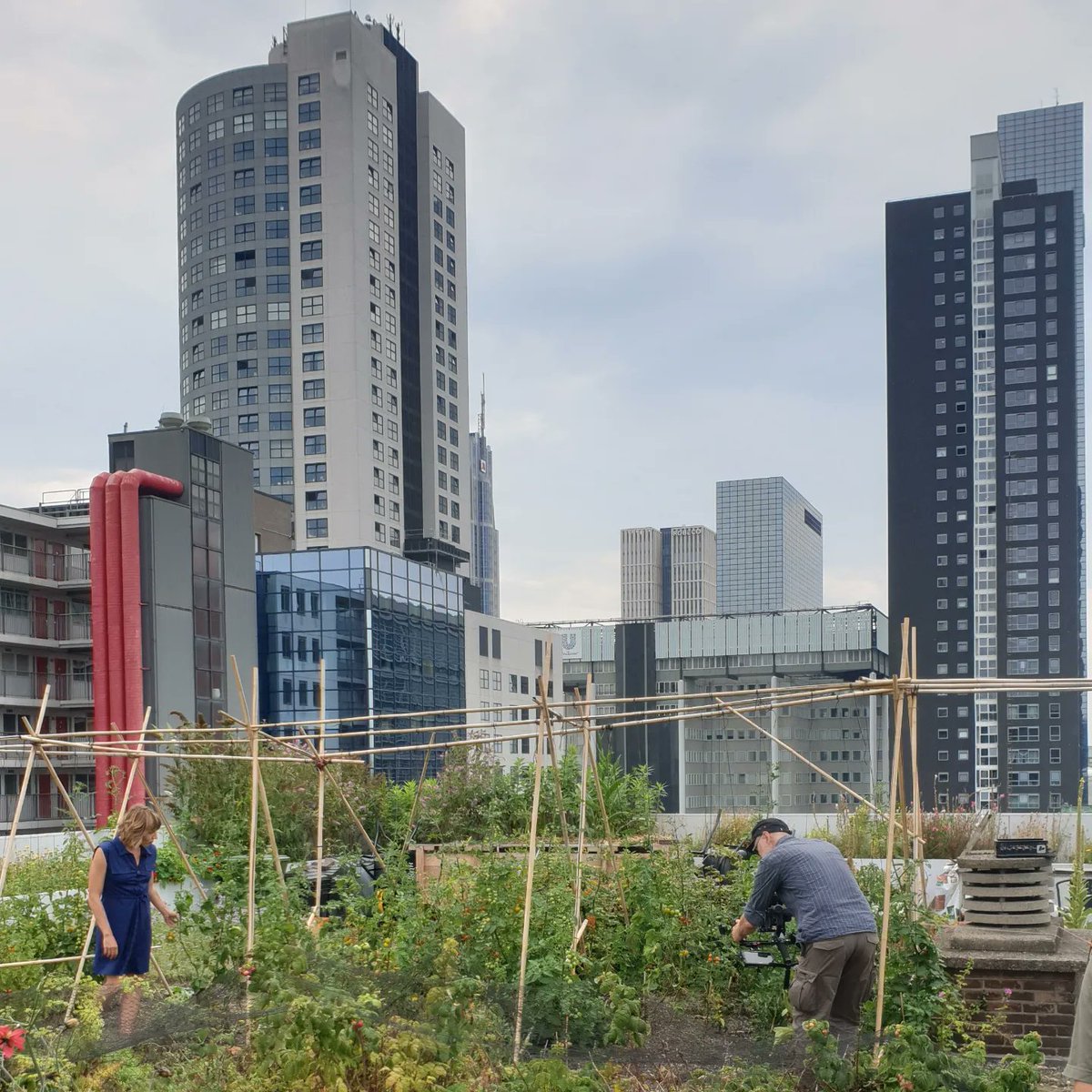 d_akkers's tweet photo. Television recordings today on the roof of @ARTEfr (the European culture TV Channel). Special attention for #greenroofs, #smartroofs, #waterrentention. So,
they were at the right address! Broadcast in different European countries and languages 🇪🇺 https://t.co/gO4lNwDFek. https://t.co/ErSX6uHrwg