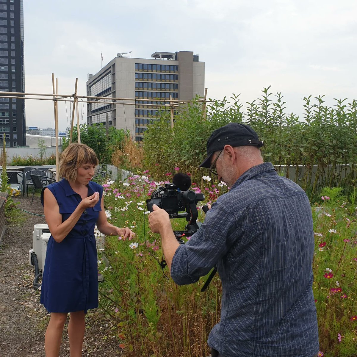 d_akkers's tweet photo. Television recordings today on the roof of @ARTEfr (the European culture TV Channel). Special attention for #greenroofs, #smartroofs, #waterrentention. So,
they were at the right address! Broadcast in different European countries and languages 🇪🇺 https://t.co/gO4lNwDFek. https://t.co/ErSX6uHrwg