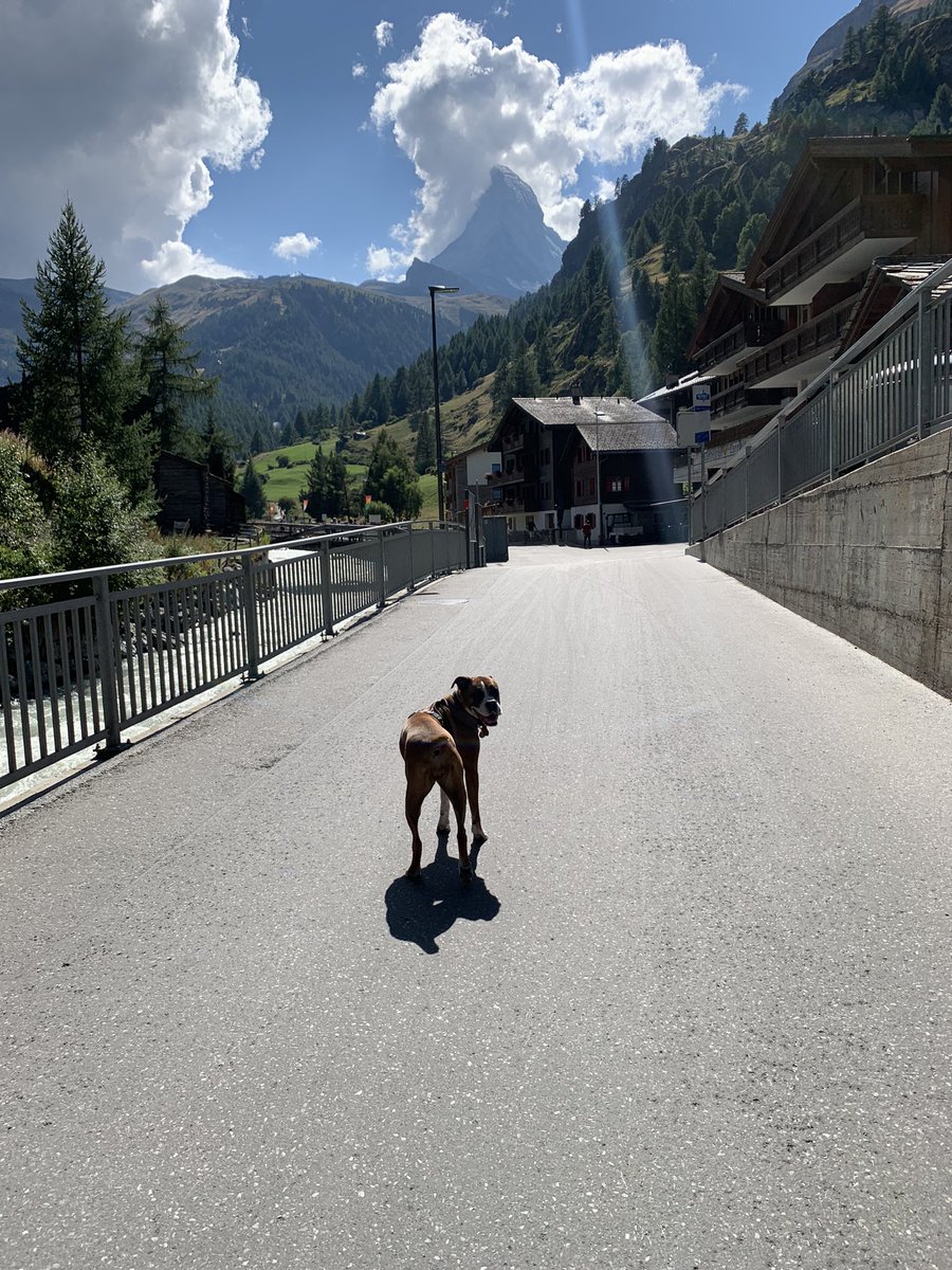 rivertechjess's tweet image. I mean... is this real life?? #geomorphology #research #sciencedog #matterhorn