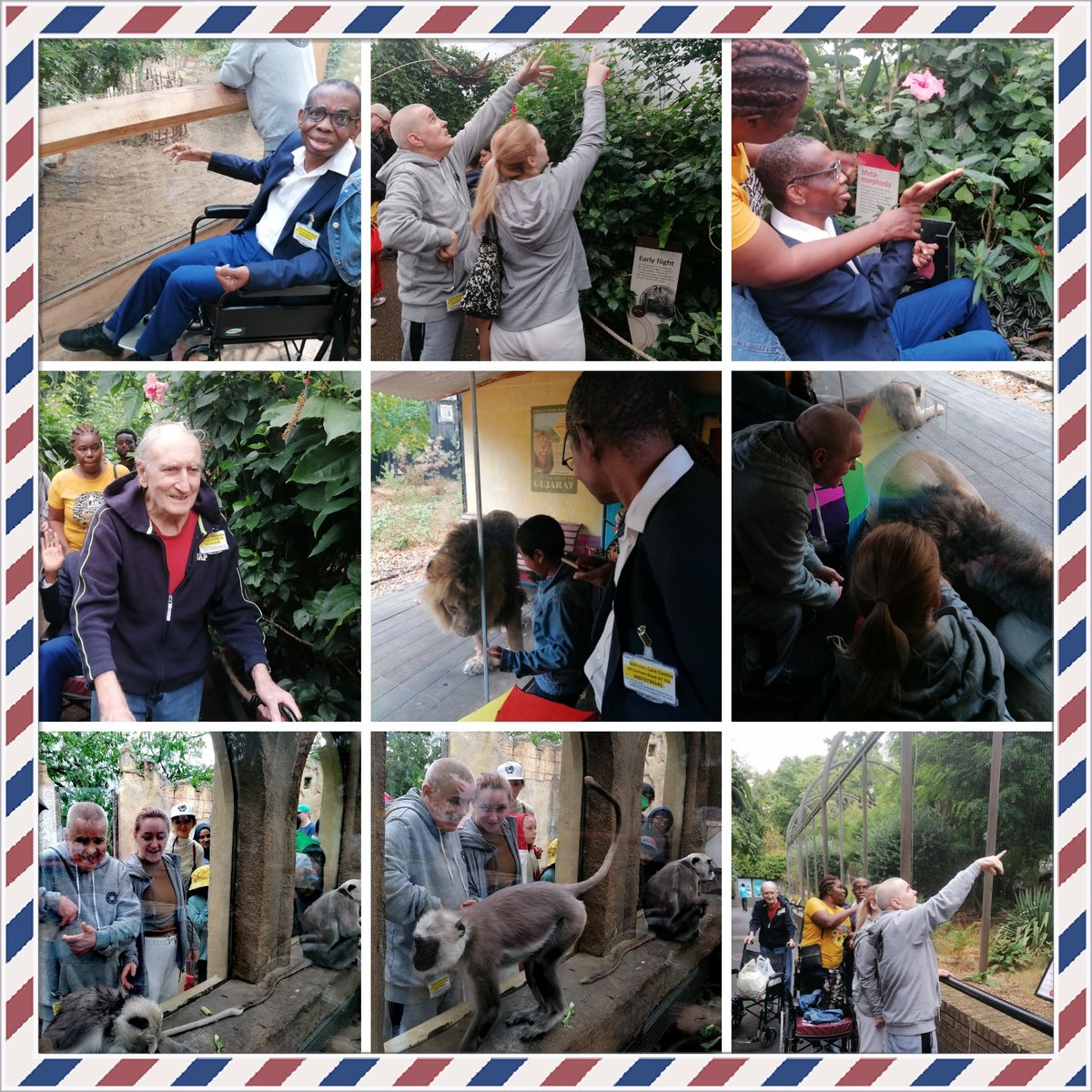 St Anne's Care Centre tweet media