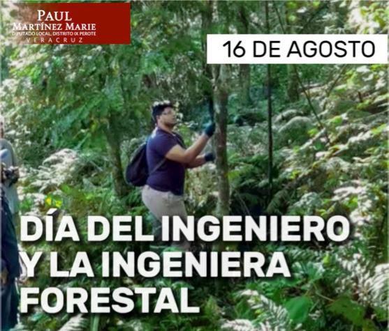 Felicito y reconozco el trabajo de quienes contribuyen en la #protección, #conservación, #restauración y aprovechamiento sustentable de los ecosistemas forestales, su labor es imprescindible para el desarrollo de nuestro entorno.

#DíaDelIngenieroForestal 
#PaulMartínezMarie