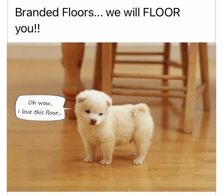 We will Floor you! 
BrandedFloors.com

•
#floor #floors #flooring #flooringcontractor #flooringinstallation #samoyed #samoyedpuppy #bestflooringcompany