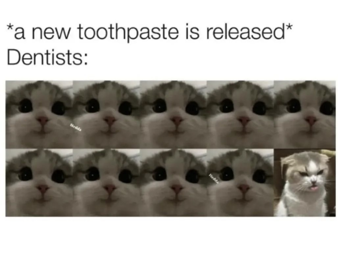 Respectful Memes (@respectfulmemes) on Twitter photo 