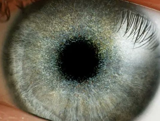 Tiktok Has Our Retinas, Facial Scans, And Every Single Piece of Data On Our Phones Which Might Cause The Downfall of Civilization barstoolsports.com/blog/3428813/t…