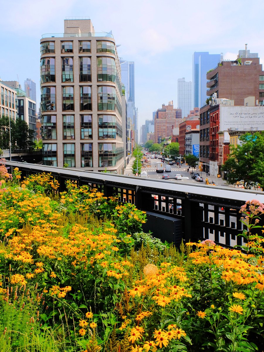 NewYorkCityDE's tweet photo. Die Aussicht vom #HighLinePark - Seid ihr hier schon mal entlang spaziert? https://t.co/JWZMjNZiEg