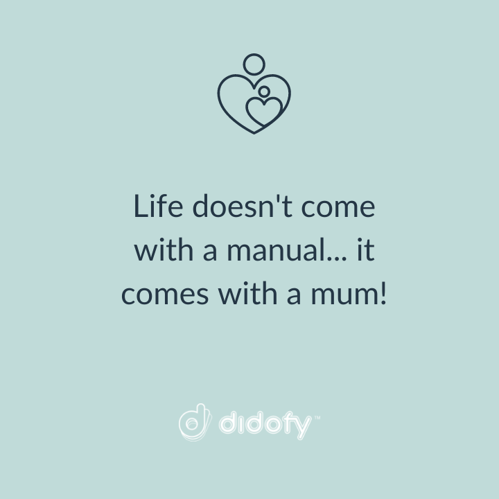 Didofy tweet media