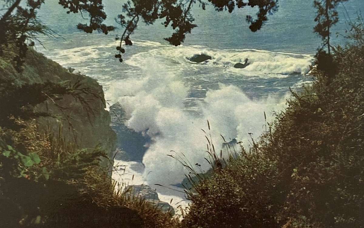 JoylandPub's tweet photo. "I know Big Sur in my bones, in my skin, in the scar on my throat from when I was a baby. The jagged, rocky coastline that I’ve adored and feared since conscious memory." — from 'The Burden Of Joy' by Lexi Kent-Monning (@lexicola)

https://t.co/vLw2pf0Pg7 https://t.co/ku0l0Z0dHu