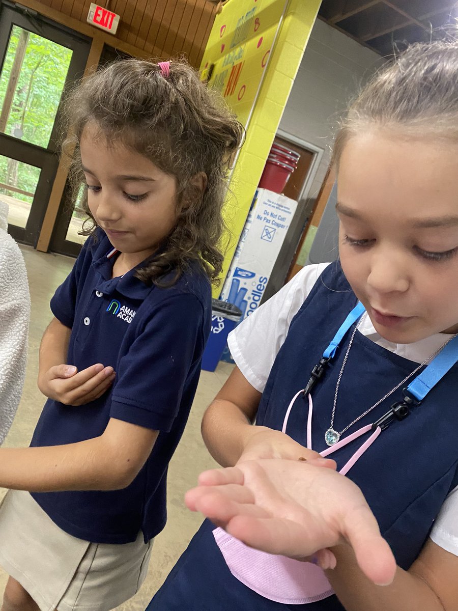 These budding entomologists are checking out our lady beetles <a href="/AmanaWest/">AmanaWest</a>