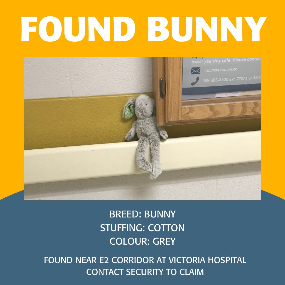 We have a feeling that some-bunny is missing their pal today! 

Spread the word and let's reunite this bunny with its rightful owner. 🐰