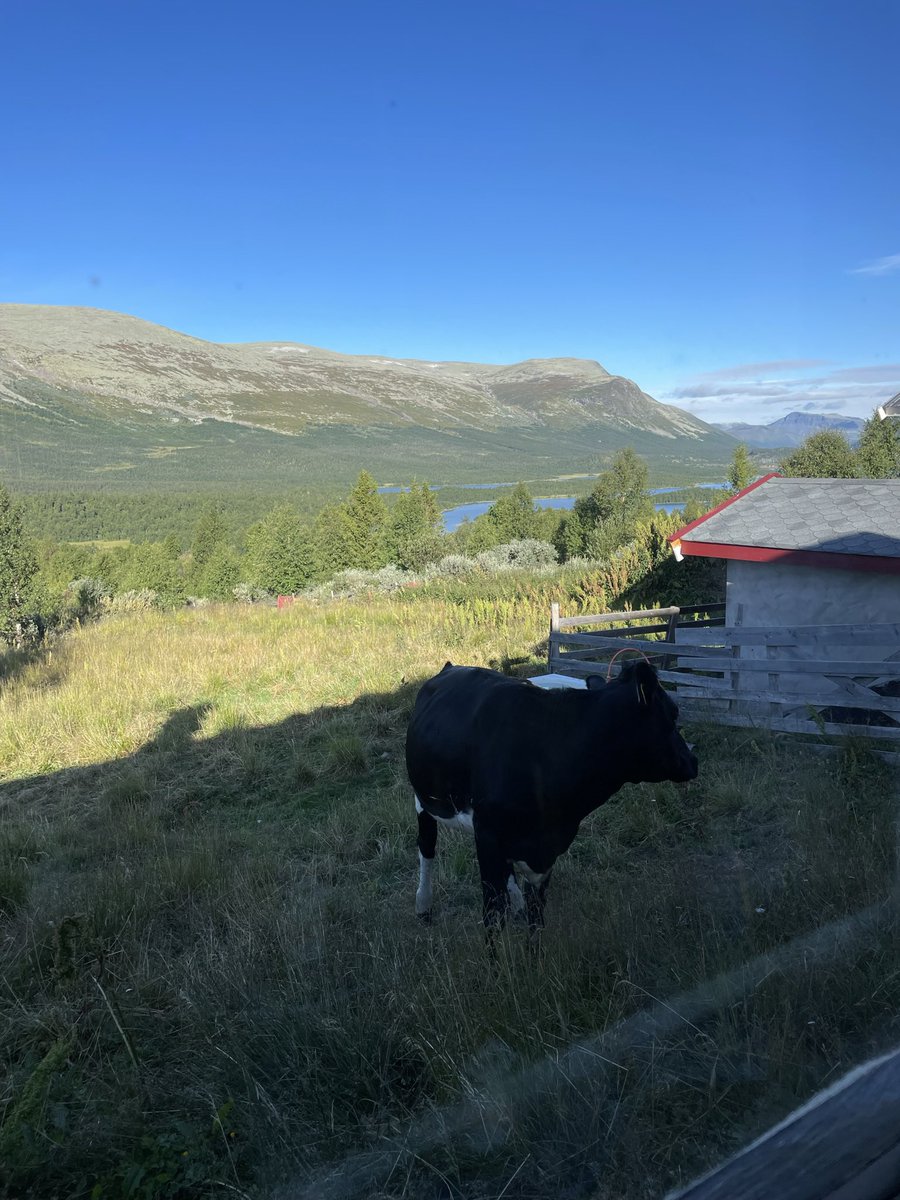 It’s always nice to be back and connect with previous mentors <a href="/Halberglab1/">Halberglab</a>