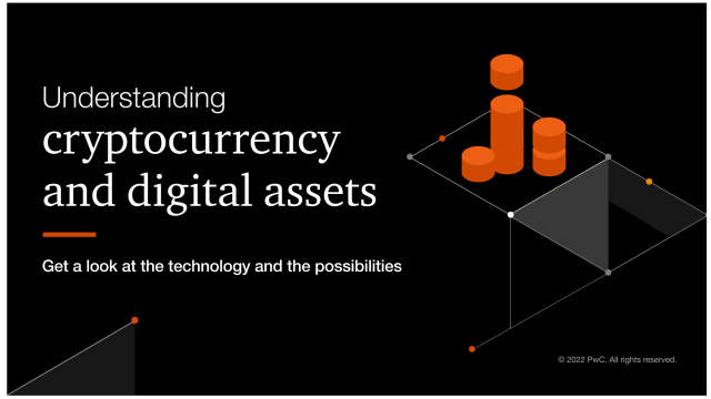 Discover the vast world of digital assets and get to know the terms, functions and use cases. pwc.to/3Ps9p02
