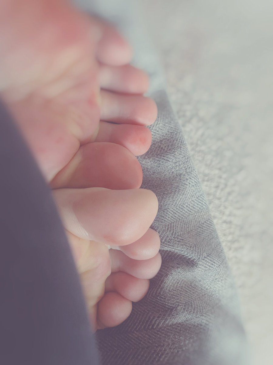 Goddessviv4's tweet photo. Good morning piggies, your know that your money looks better in my hands. So stop resisting handing a bratty goddess like me all of your hard earned cash.😈
Paypig findom whalesub finsub domme goddess https://t.co/WWYe0UogTl