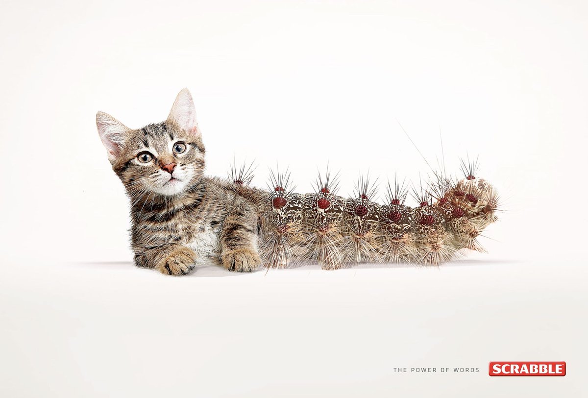 MisfitInt's tweet photo. I love these!
Cat-erpilla, car-rot, pen-guin
Brilliant print campaign 👏
Advertising Agency: Twiga
Client: Scrabble
Location: Ukraine
#printdesign #printdesigner #printdesigns #printdesigners #printdesignerlife #printdesignexperts #printdesigning https://t.co/w3avyy2ApZ