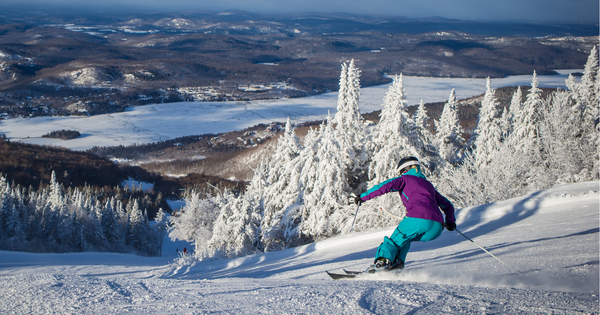 Spot Insurance tweet media