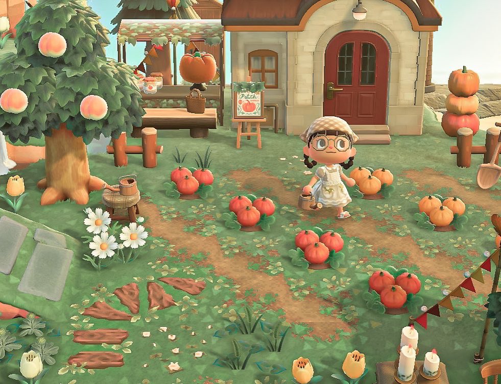 zayameww's tweet photo. ~ pecan’s new yard ✨a pumpkin patch✨ 

pecan sells the best pumpkin jam in Evergreen and the best pumpkin pie is made with her pumpkins! you should definitely give her a visit 😋🍂

#ACNH #acnhinspo #ACNHDesign #ACNHDesigns #acnh #acnhpumpkinpatch #animalcrossing https://t.co/kGwKpS62IA
