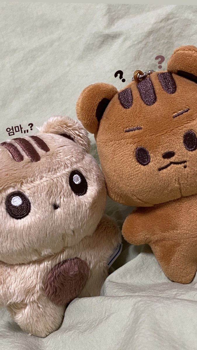 2022.08.13 날씨:🌧

엄마가 공룡알을 뜯더니 우리를 담았다(?)
샵 갔다왔는데..자국 다 나써..