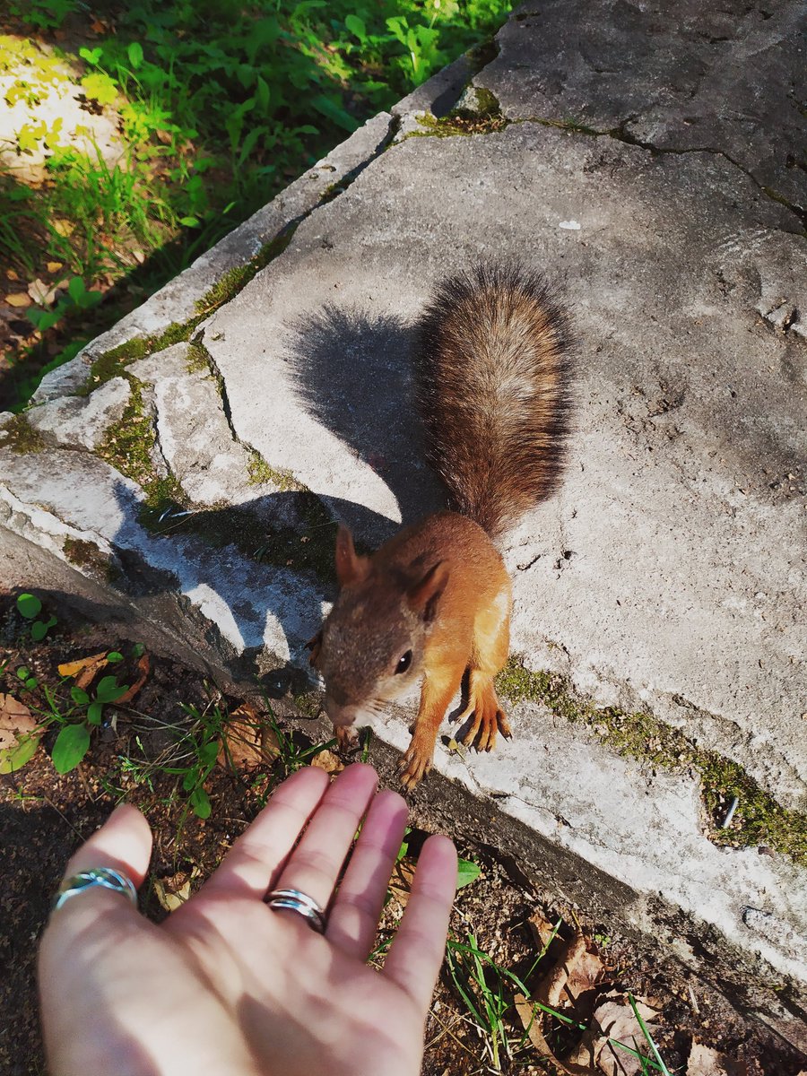 _getting_dark_'s tweet image. произошло знакомство с прекрасной дамой,,