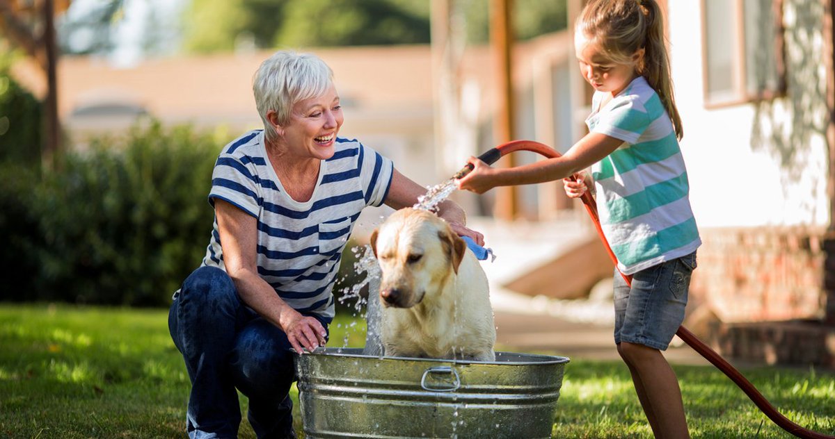 luis_axa's tweet photo. El verano es una estación complicada para nuestros animales, puesto que no regulan la temperatura como nosotros. 🐕​🐈​☀​ Si los humanos acusamos el calor, a ellos les afecta todavía más https://t.co/CB6y2nujID https://t.co/1EHzUJZLwa