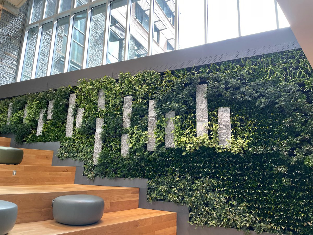 📍University of Maryland-Shady Grove Biomedical Sciences and Engineering building in Rockville, MD, USA
🌱 Versa Wall®
👉 The Wall measures 279 square feet and encompasses about 1,700 plants

 #biophilia #greeninfrastructure #greenwalls #sustainability #architecture #design