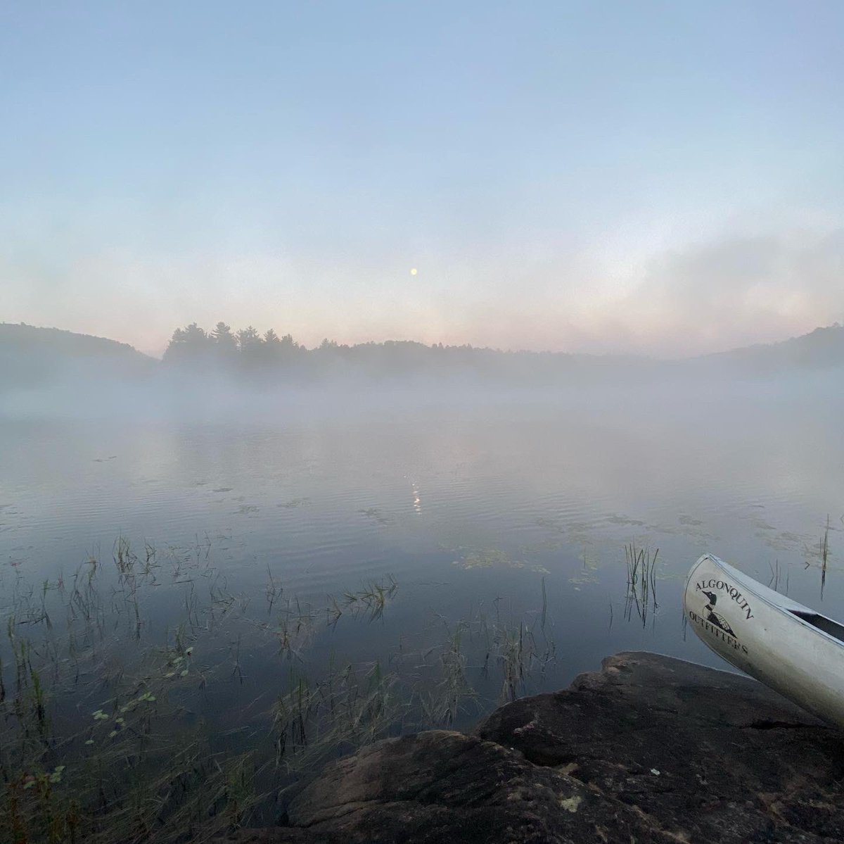 Martha McCabe tweet media