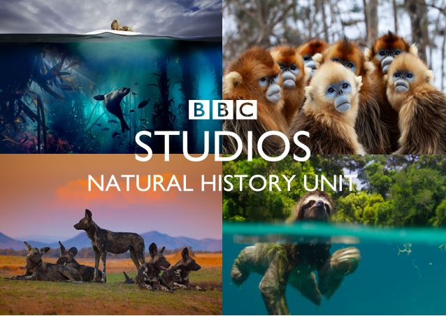 _CreativeAccess's tweet photo. Wow - check out these 2 exciting #PaidInternships with @bbcstudios' #NaturalHistoryUnit in #Bristol! 📹

🌱 Visual effects trainee
🌱 Trainee researcher - Asia

Closes 6/09. Find out more &amp; apply ➡️ https://t.co/BNiGTlm8Up https://t.co/pTDCzrat6f