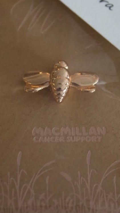 MyWeddingWisdom's tweet photo. It Was 'Meant To Bee'

As Mancunians, these @macmillancancer bee pins were perfect for our wedding favours. And they doubled up as our wedding place settings too. 

Our guests loved them, a special keepsake from our #Wedding day. 

Link⬇️ #CharityTuesday 
https://t.co/zgr8hKvbJP https://t.co/xe1CxGn9E0