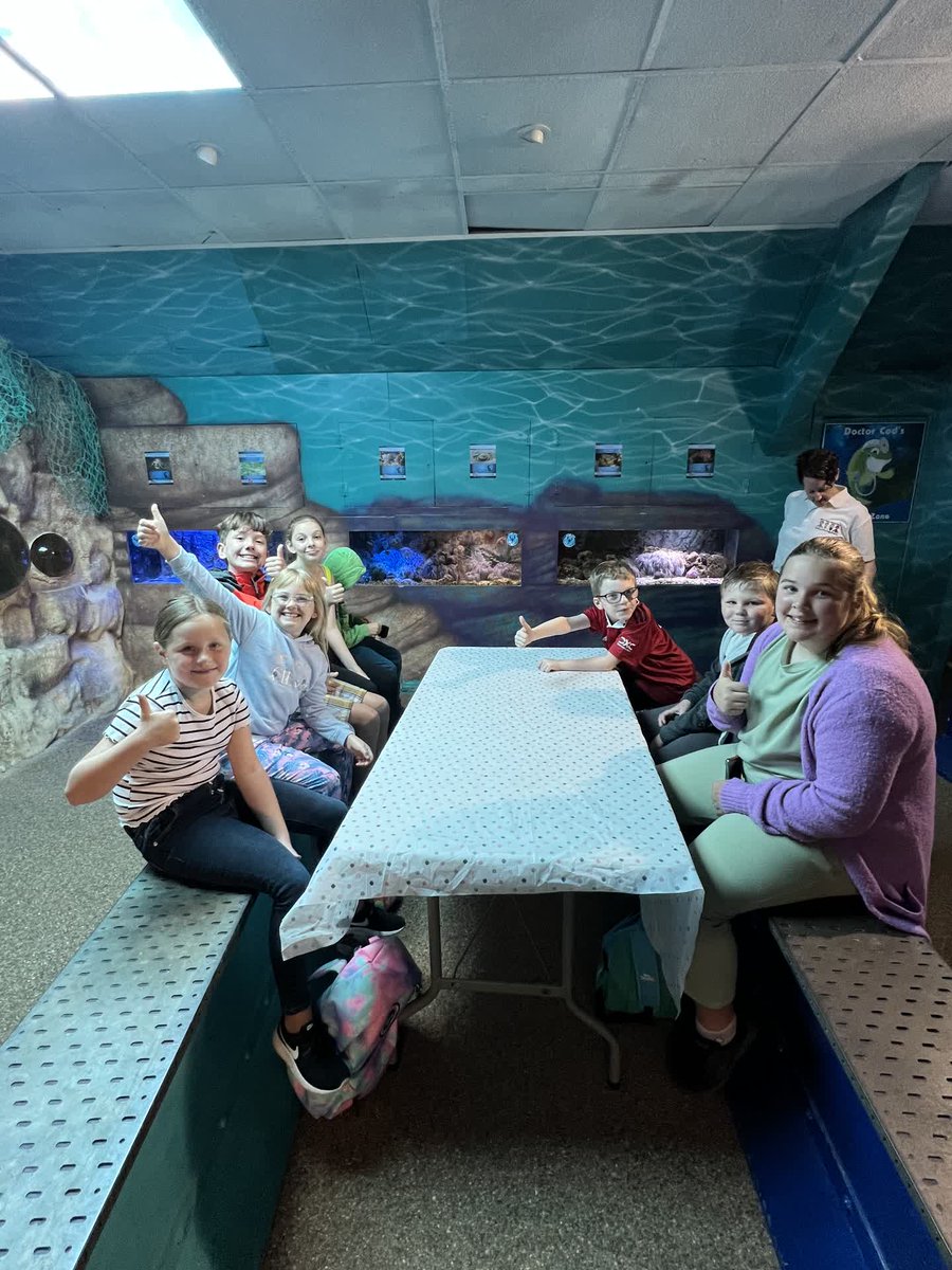 Neumark_'s tweet photo. This morning our Project Funding Manager, Philippa, joined @NWYCyoungcarers on one of their summer activities at @SeaQRhyl with a fantastic group of young carers!
This is why we do what we do
#Timeout #FishyFun #Inspirational https://t.co/uwHyu77fJm