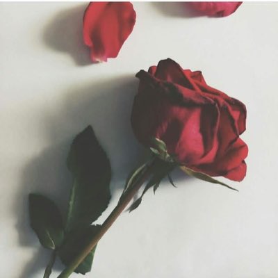 checy_ tweet picture