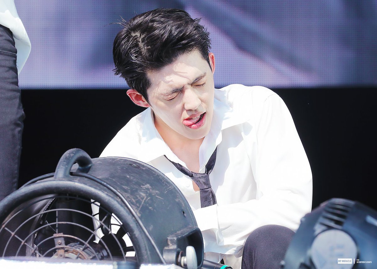 190817 썸머소닉 

#에스쿱스 #SCOUPS #최승철 #エスクプス