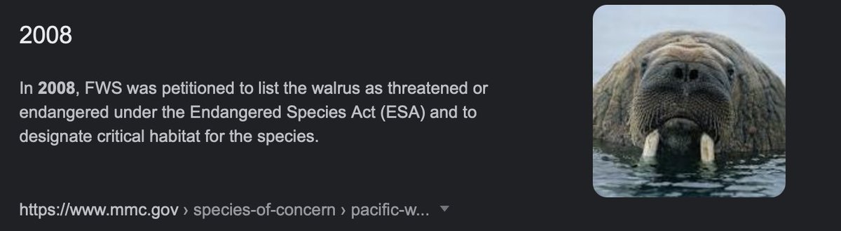 #FreyaTheWalrus #Norway 
"Let's kill an endangered animal because it sits on our boats and we don't like that" The fact a country can kill an endangered animal without any problems is already sickening.