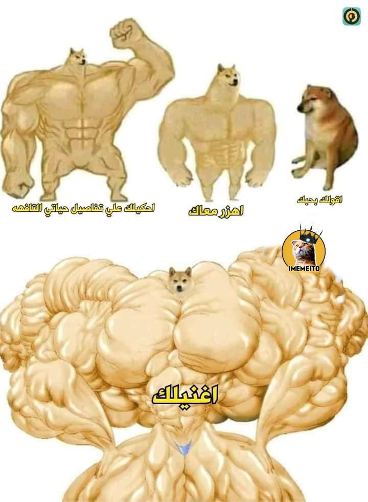 egymeme11's tweet photo. ازاي تتأكد اني بحبك https://t.co/SM6o79JJyT
