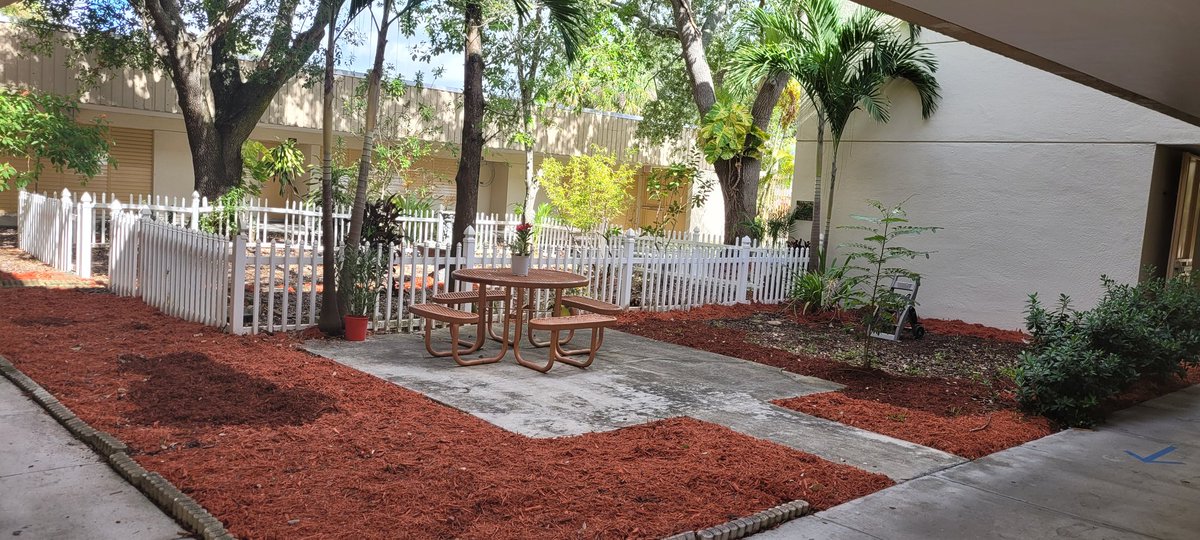 CampbellDriveK8's tweet photo. Our beautiful gardens!
#cdk8sohappytogether #cdk8mightydragons https://t.co/YplJXaFUVj
