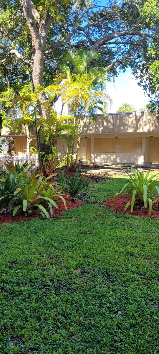 CampbellDriveK8's tweet photo. Our beautiful gardens!
#cdk8sohappytogether #cdk8mightydragons https://t.co/YplJXaFUVj