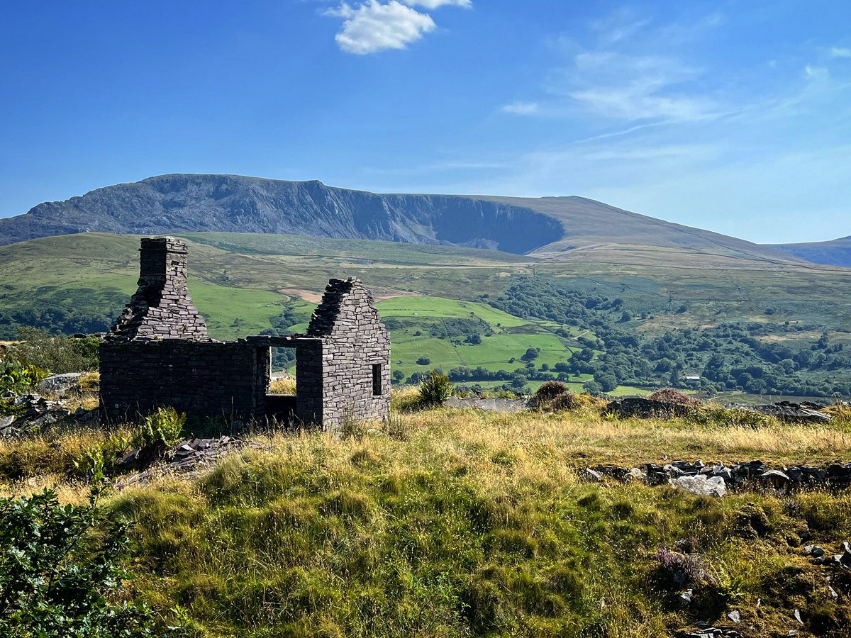 PhoebeRSmith's tweet photo. What’s old collapses, times change, and new life blossoms in the ruins…
#WanderWoman #amwriting #amwalking #ipilgrim #wayfarer https://t.co/y6zRvsfaLu