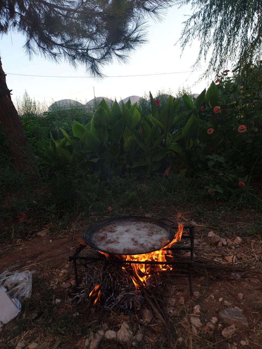 Klasik urfa günlükleri