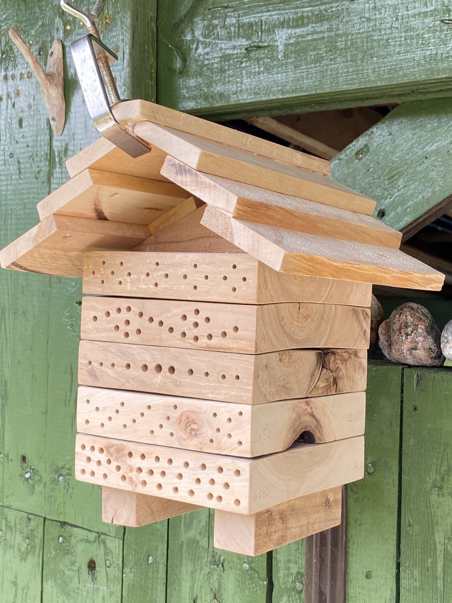 biskopiba's tweet photo. Bišu draugs uzbūvējis jaunu māju mazajām bitēm, lai pulciņā viņām jautrāk! Vientuļā bite nav vientuļa - viņai ir #bišudraugs. https://t.co/R4OEHDxlO8