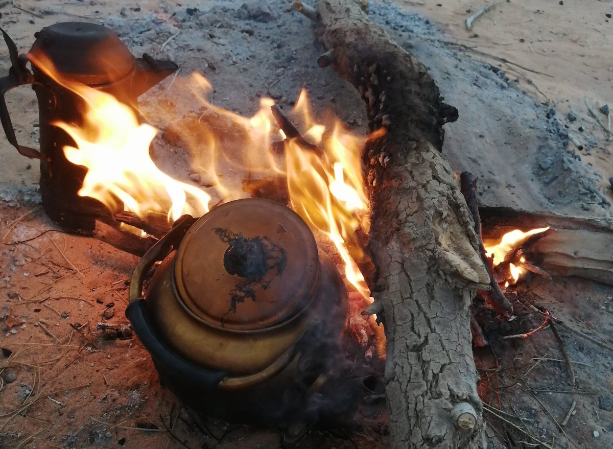 إبراهيم علي القاسم📚 tweet media