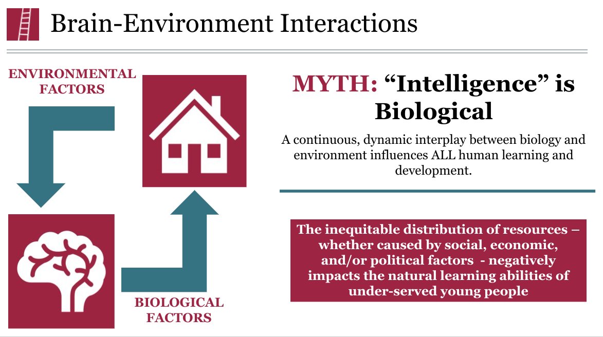 opportunityorg's tweet photo. A continuous, dynamic interplay between biology and environment influences ALL human #learning and development.​ Intelligence is NOT biological. Environment matters! #adolescentlearning #WholeChild https://t.co/l8dIagJ4N5