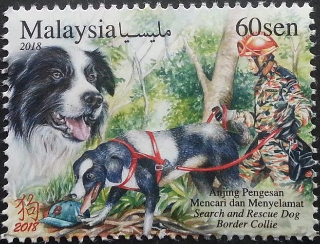 DogCognitionSE's tweet photo. A stamp from Malaysia. https://t.co/iPgngohgsT