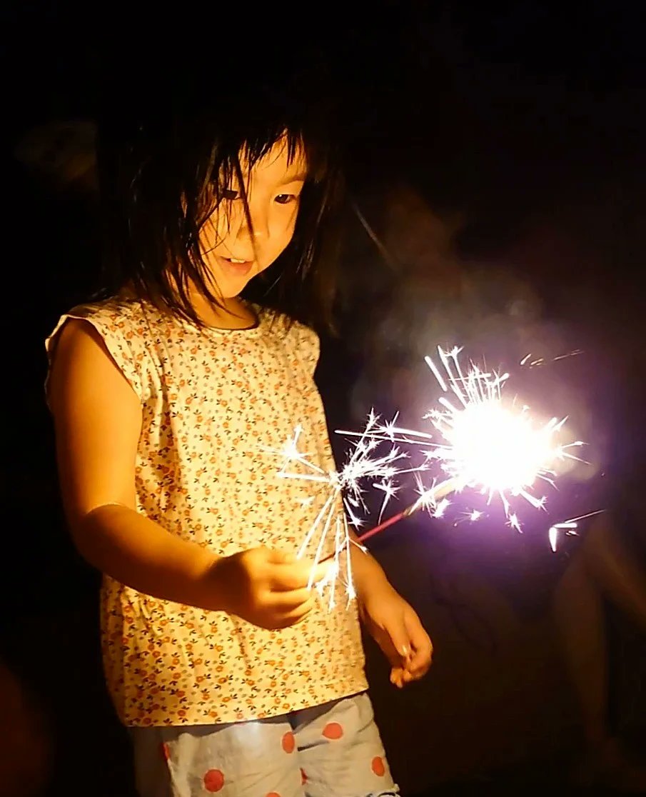 Sinsimo27 コロナ禍で 花火大会中止 庭でウチ花火 大きな音のする花火は 怖くて逃げ回るいっちゃんです T Co Obprrnusnf Twitter