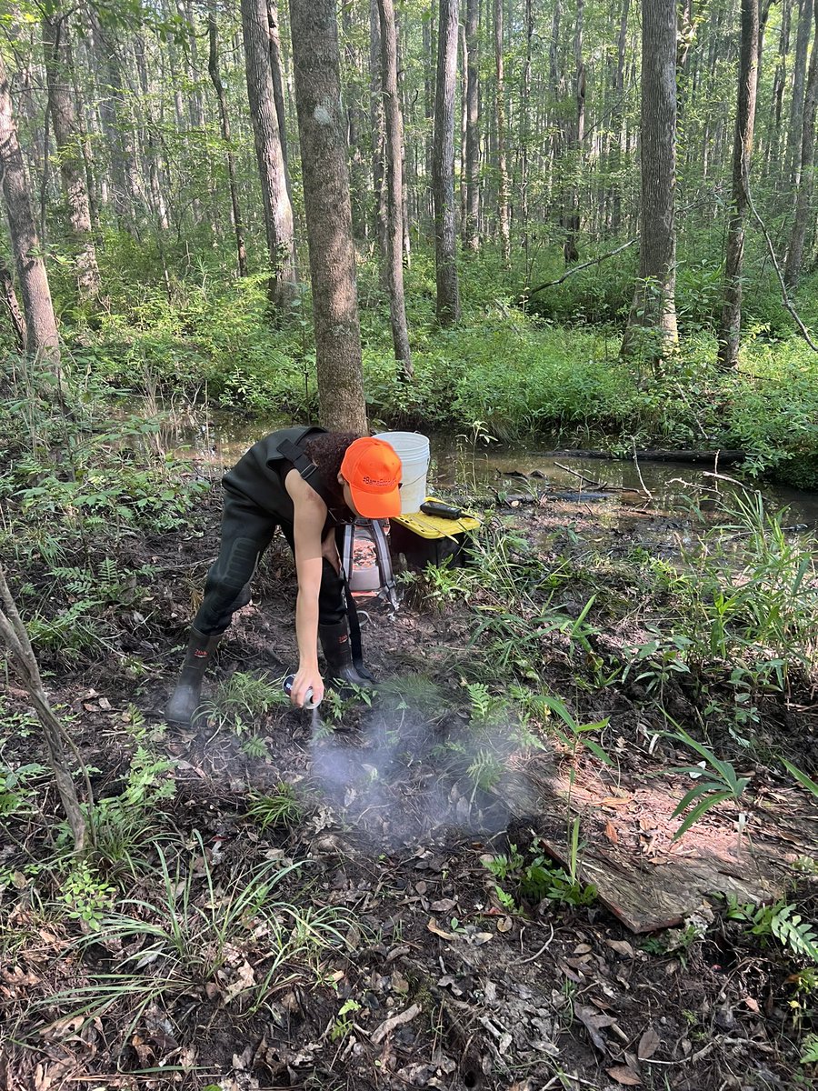 phoenix_rogers's tweet photo. Had a โHog Wildโ day helping @Lovelesswaters and @_stellarrr_ in the field today! JK we didnโt actually see any hogs :/ https://t.co/iQ3fmf0efn