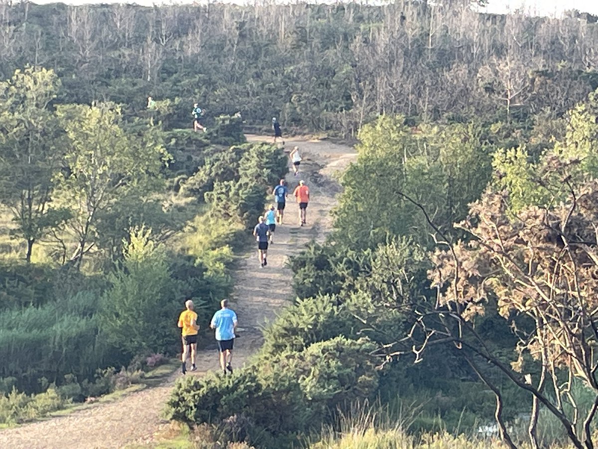 NewForestRunners tweet media