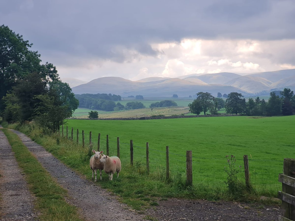Muggle_Wump's tweet photo. Day 6 of #CoastToCoast and we have entered #YorkshireDales. Bleak, beautiful moorland, with a more remote feeling. Bashed out 32km, and treated ourselves to a hotel in Kirkby Stephens. https://t.co/Jz4fPA4IGn