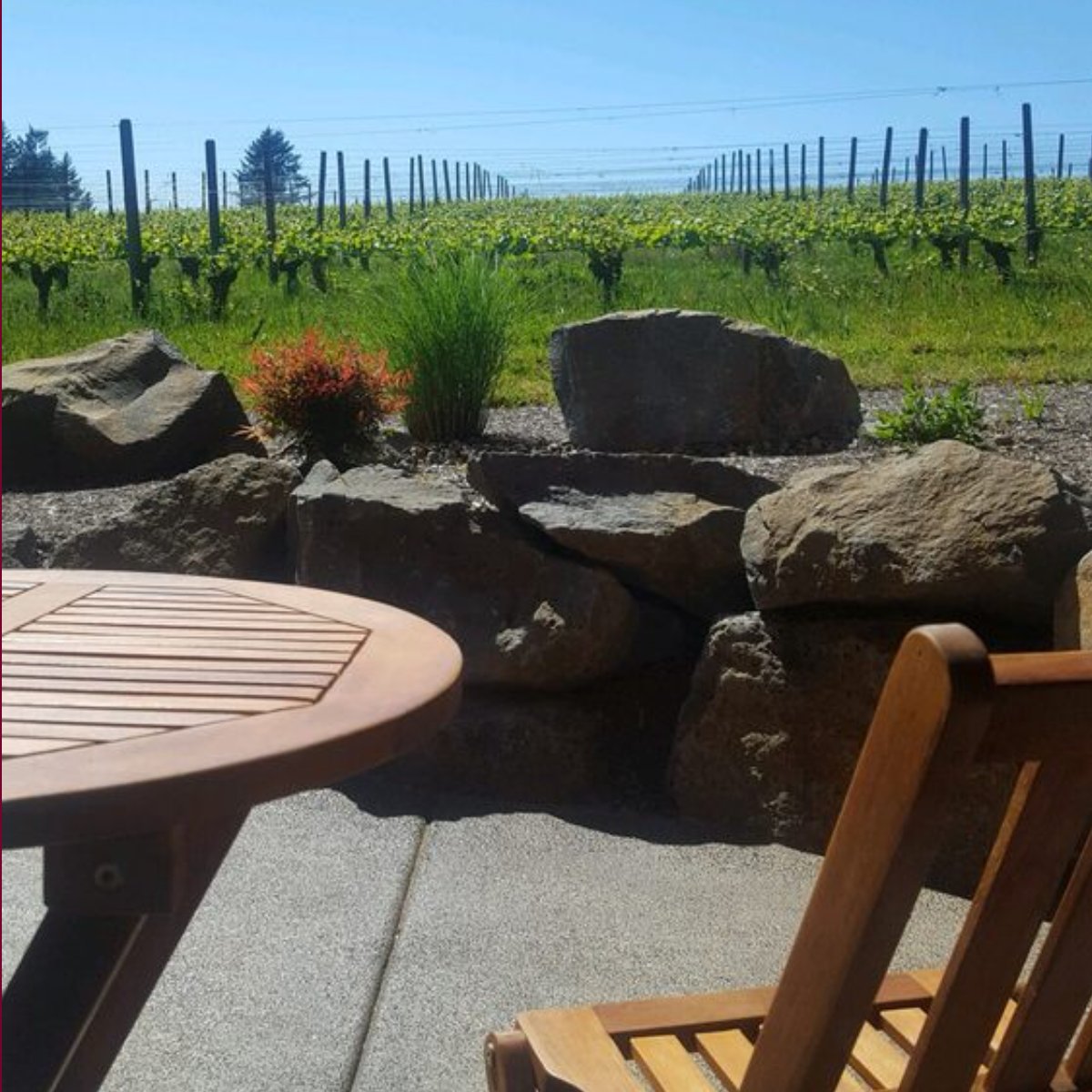 vineyardviewinn's tweet photo. A luxurious stay at an affordable price is waiting for you. All you need to do to reserve a spot is call: (503) 899-5911. https://t.co/ZhYiL4IsHh