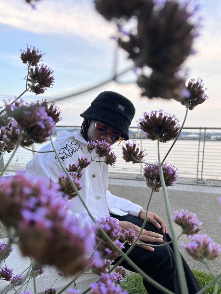 LAVIDA BOY tweet media