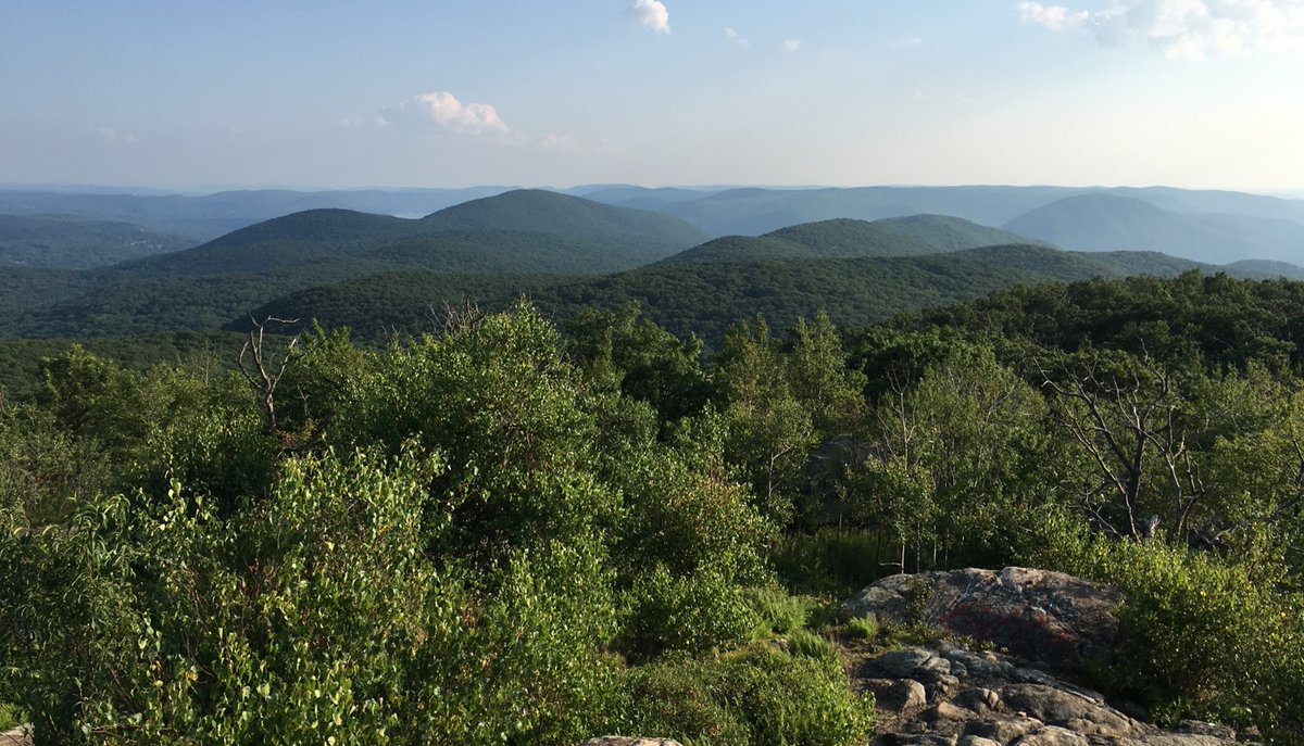 laura_heady's tweet photo. Two new connectivity plans for the #HudsonValley! The Eastern Highlands Green Corridors Plan and Taghkanic Headwaters Conservation Plan were both completed with @NYSDEC Estuary Grants funding and leadership from land trust partners @hhlt_org  and CLC. 
https://t.co/8EMmnuZVDt https://t.co/SK9mmOYtLH